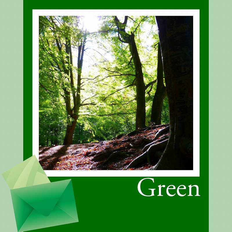 イラスト、写真