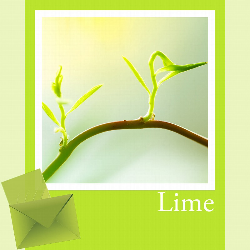 イラスト、写真